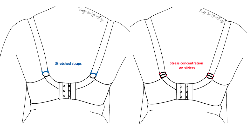 Bra Physics 4 – What can we learn about the cups and straps?
