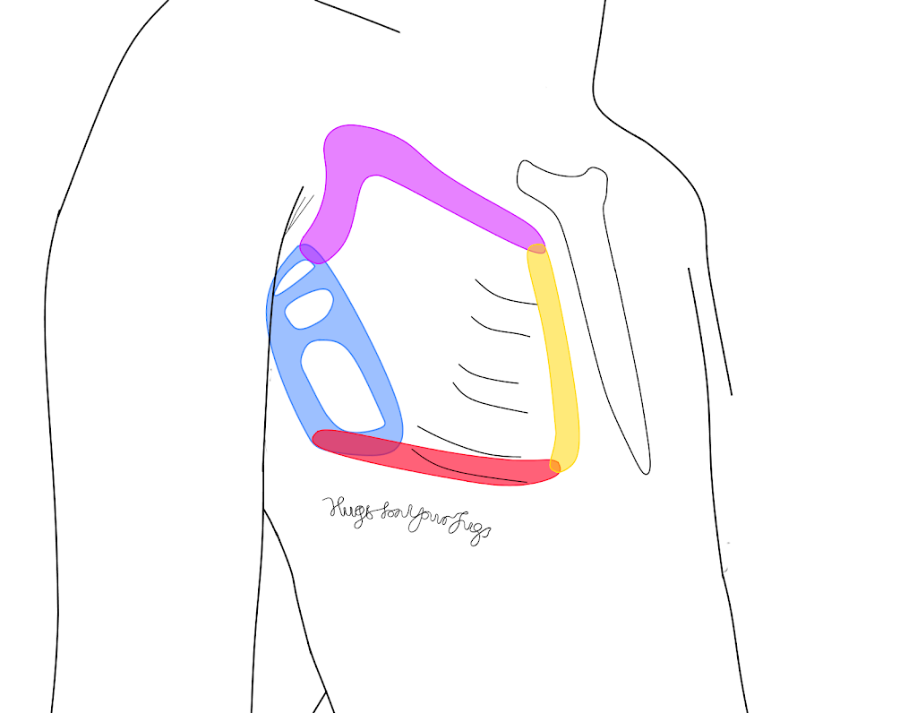 Are You Overfitting Your Wires? A look at breast root anatomy