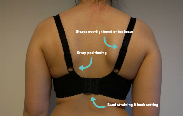 An image from the back of someone wearing a bra, labelled with the fit aspects visible at this angle.