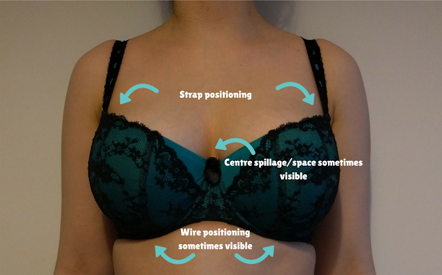 A front-on image of someone wearing a bra, labelled with the fit aspects visible at this angle.