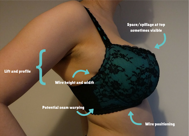 A side-on image of someone wearing a bra, labelled with the fit aspects visible at this angle.
