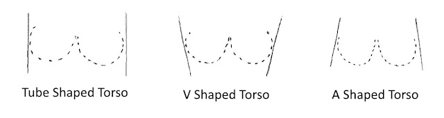Diagram showing the 3 vertical ribcage shapes